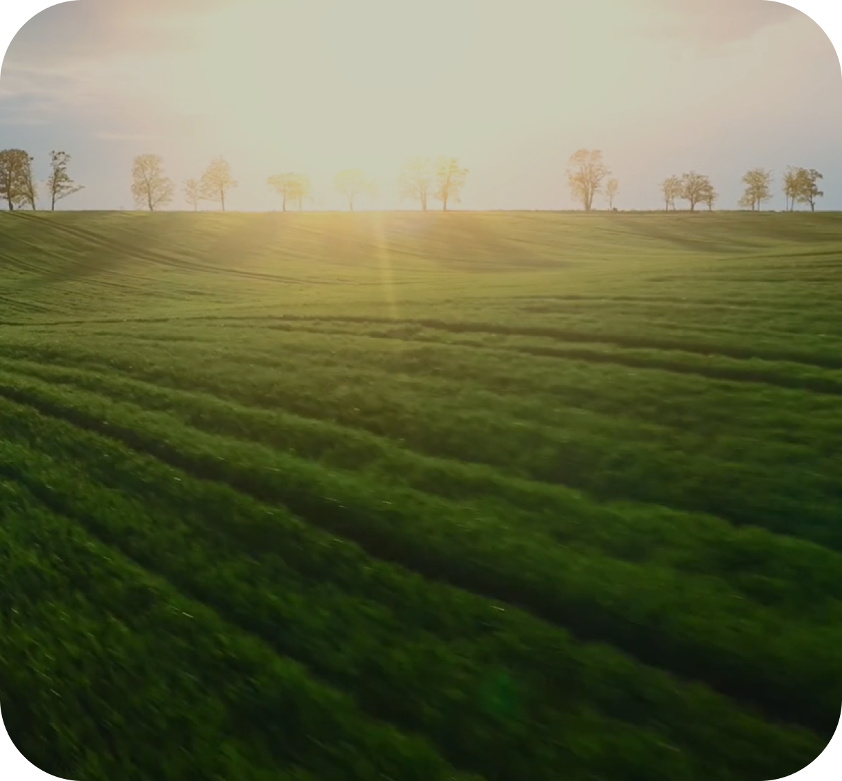 Работа Полигон77