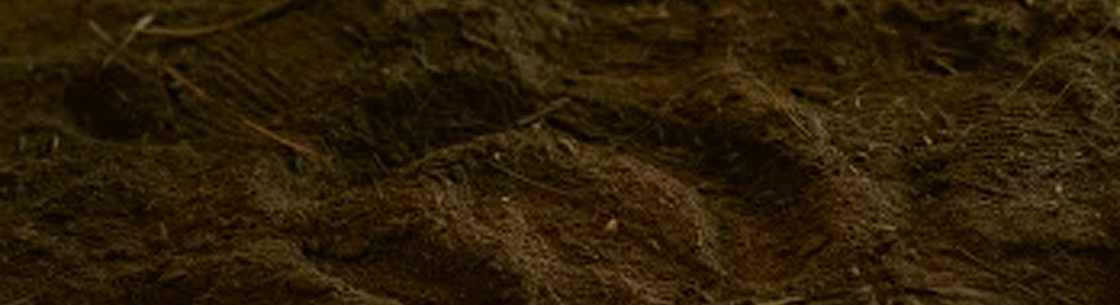 Рекультивация земель